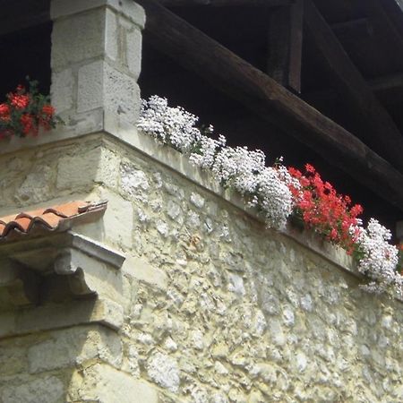 Al Mulino Bed & Breakfast Fregona Exterior photo